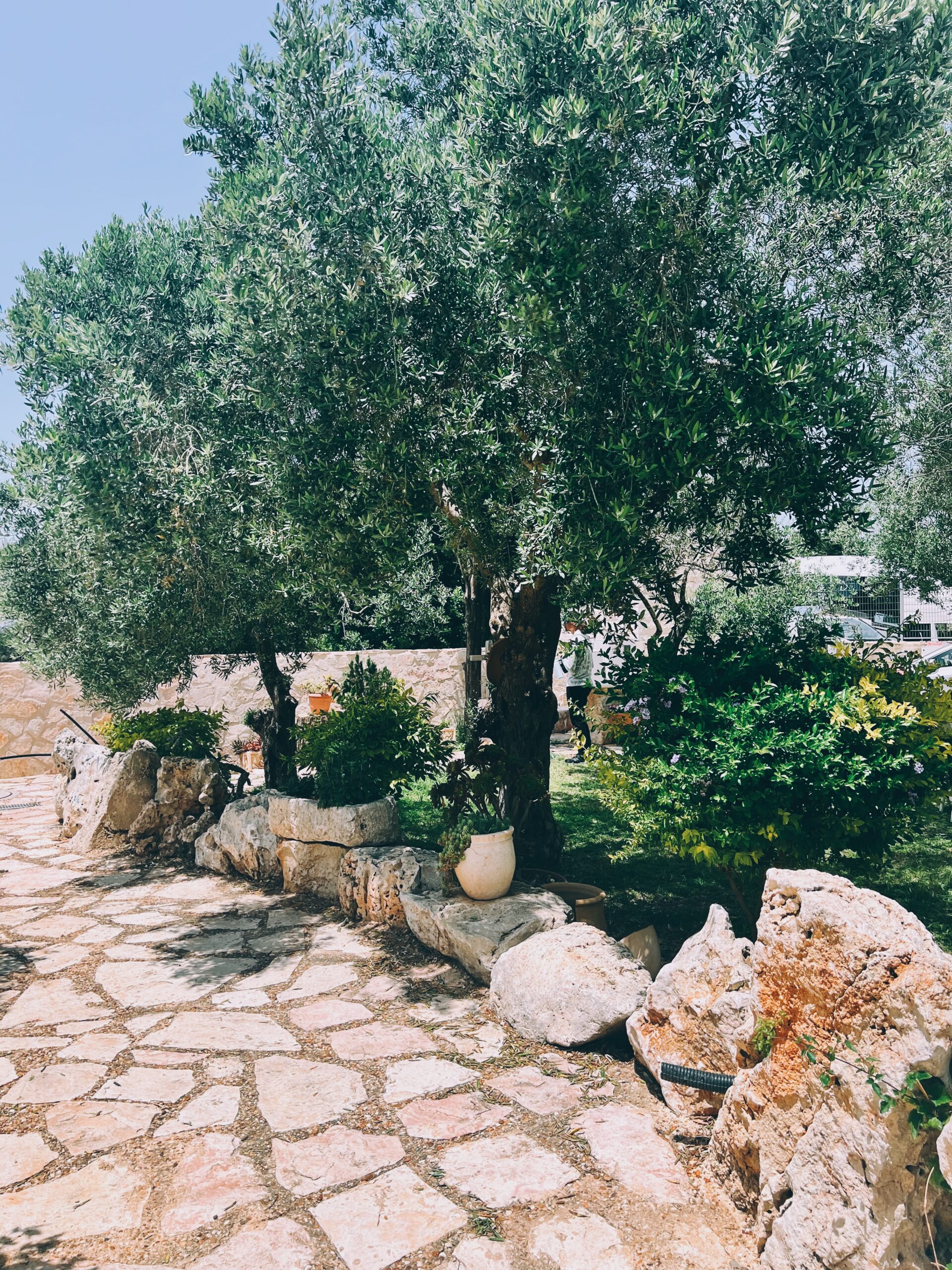 Garden next to stone pathway.